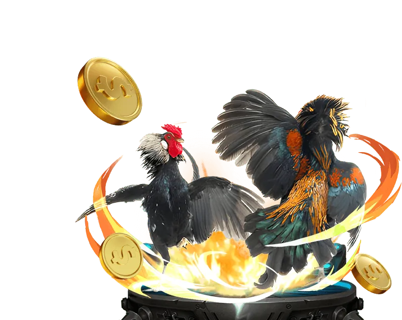 Đa dạng các trò chơi cá cược và casino tại vn999 login